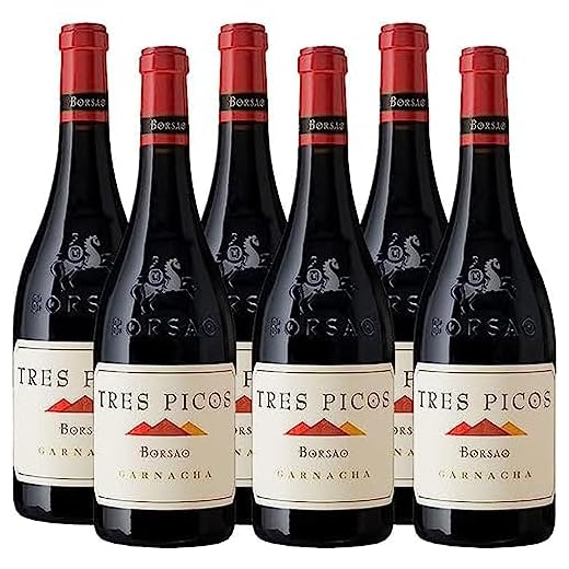 Momentos Santiamen - Vino Tinto Tres Picos - Caja 6 botellas