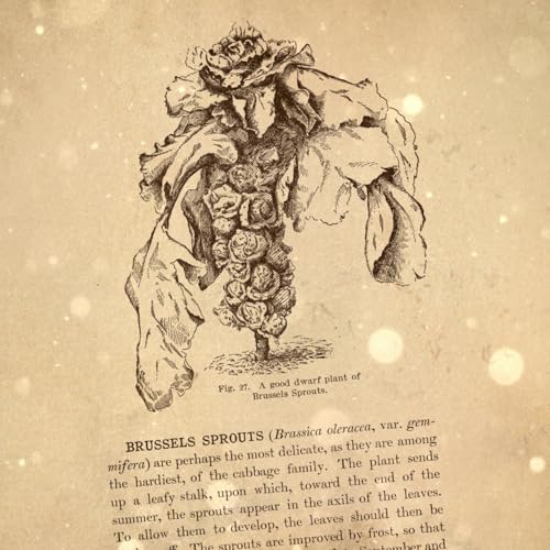 Loremen S6Ep46 - The Man-Faced Pigs of Brussels Podcast Por  arte de portada