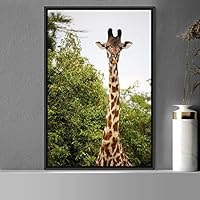 Framed Canvas Wall Art Giraffe Animals Expressive Farmhouse/Country Giraffe Living Room Multicolor Photography - 16x24 inches