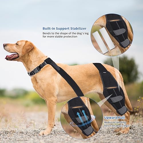 Image of Dog Knee Brace for Torn Acl Hind Leg, Adjustable Dog Back Leg Acl Knee Brace for Cross Ligament Arthritis Relief Joint Stability Injury Recovery