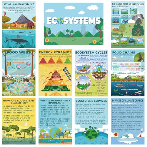 Pasimy 11 Pcs Science Biology Posters Classroom Ecosystems Teaching Poster Ecosystems Biological Food Chain Bulletin Board for Classroom Decoration Teacher Middle High School Educational Library Home