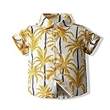 Baby Boys Floral Print Shirt Button Down Hawaiian Shirts Aloha Short Sleeve Party Holiday Dress...