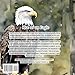 Rise of an Eagle: Woodland of Wonders Series: life cycle of a magnificent bald eagle through captivating poetry and stunning illustrations.
