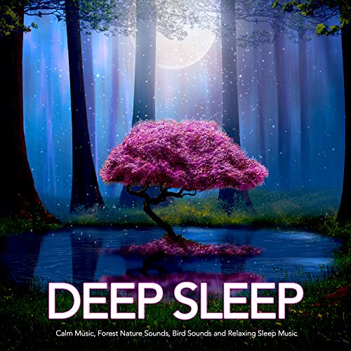 Deep Sleep Calm Music, Forest Nature Sounds, Bird Sounds