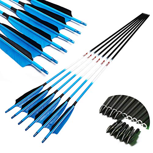 Linkboy Archery Carbon Arrows Hunting Practice Target Arrows Fluorescent Blue with Removable Tip