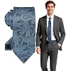 FIXSMITH Ties for Men, Striped Neckties for Men, Paisley Ties for Men, Mens Formal and Casual Ties for Wedding, Business