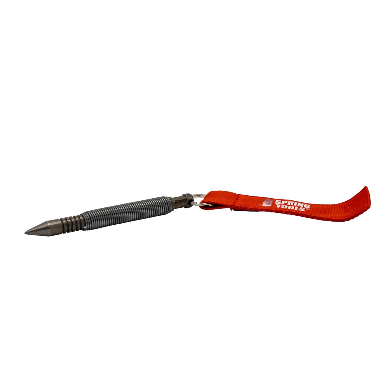 竹の子掘り(頭のみ)2K 真竹(まだけ)」が生える竹林で筍掘り | 子供 竹の子掘り(頭のみ)2K 真竹(まだけ)」が生える竹林で筍掘り | 子供