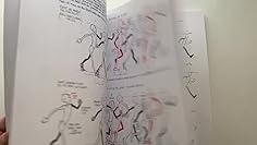 The Animator S Survival Kit A Manual Of Methods Principles And Formulas For Classical Computer Games Stop Motion And Internet Animators Farrar Straus Williams Richard 9780865478978 Amazon Com Books