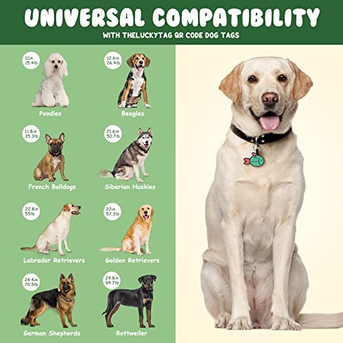 Theluckytag Upgraded Personalized Dog Tags Engraved With 3D Qr Code For Dogs Cat Collar Charm Microchips - Silicone Silencer Id Tag For Pet - Create Online Profile No App Requirement (Green-Fish 2) #TOP3