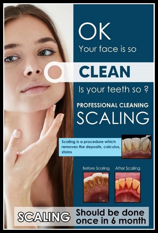Allen Turtle Dentist Dental Care Teeth Poster For Clinic Hospital Paper Print Fine Art Print (12 inch X 18 inch) DNT93