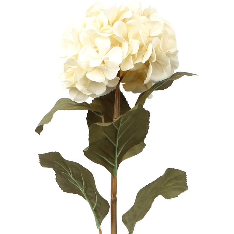 Fleurs artificielles avec tige naturelle DRW en mousse crème pour décoration de vase