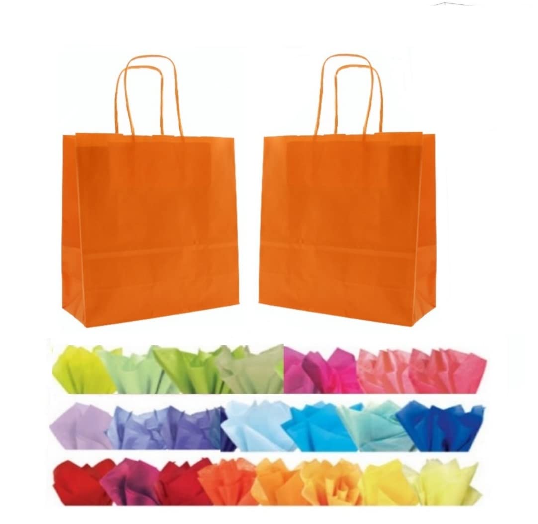 x 10 LUXURY PAPER GIFT BAGS WITH MATCHING TISSUE PAPER - CHRISTMAS/BIRTHDAY/PARTY BAG - (Orange) — image 1