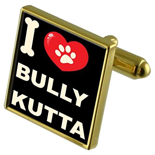 Gemelos Bully Kutta dorados y clip de billetes para trajes de caballero
