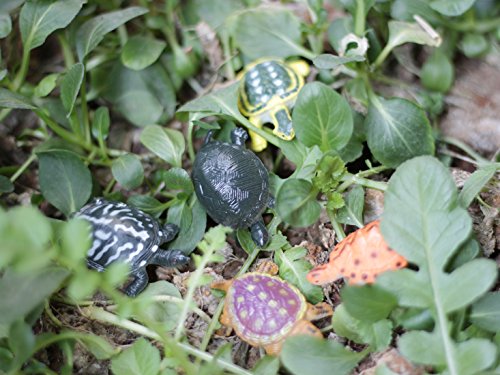 Kvvdi 12 Pcs Small Colorful Plastic Poison Dart Frogs Toy + 8 Pcs Turtles Rainforest Animals #TOP5