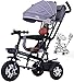 Tricycle Bébé Trikes tricycle Trikes- tricycles avec auvent ajustable, enfants avec poignée de poussée/ harnais de sécurité, vélo pour garçons/ enfants âgés de 1 à 6 ans(couleur: bleu) (Couleur: noir