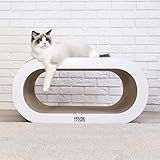 House of Cats