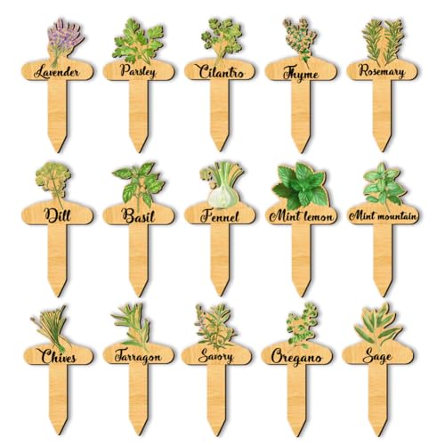 arricraft - Lote de 15 etiquetas de nombre para plantas, hinojo salvia eneldo albahaca marcadores de plantas de madera con diseños de etiquetas de jardín tipo T signo para semillas de plantas de
