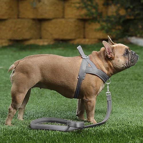 Image of Plutus Pet No Pull Dog Harness for Large Dogs, Breathable Mesh Padded