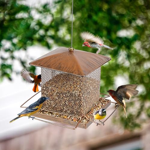 IWNTWY-Bird-Feeder-Heavy-Duty-Metal-Bird-Feeders-for-Outdoor-Hanging-Wild-Birdfeeder-with-Squirrel-Proof-Buckle-for-Garden-Yard-Outside-Backyard-35LB-Large-Capacity