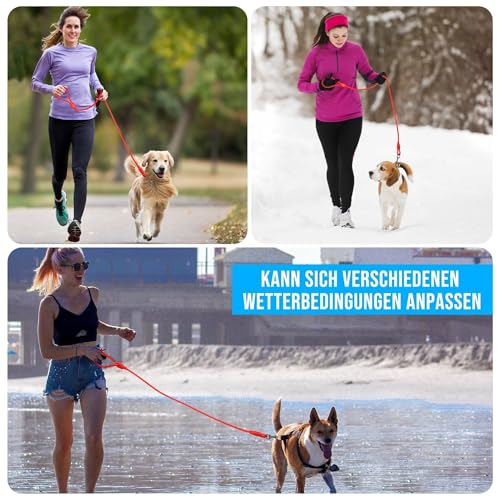 IOKHEIRA Hundeleine - wasserdichte PVC-Hundeführleine, Leicht Zu Reinigen, Mit Robustem Zinklegierungsverschluss Und Komfortablem Griff