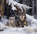 【Facile et amusant】Les numéros de fil de points sont marqués, faciles à broder, le kit point de croix moderne est un excellent artisanat pour les débutants, offre également un débouché créatif pour l'expression de soi, réduit le stress et favorise la relaxation