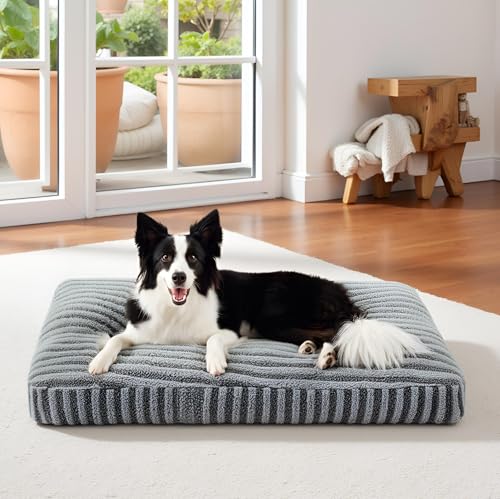 Pawk Cuccia Cane Interno, Cuscino per Cani Taglia Grande, Cuscino Cane Sfoderabile e Lavabile, Cuccia per Cani Soffice Traspirante Antiscivolo, 89x58x10cm