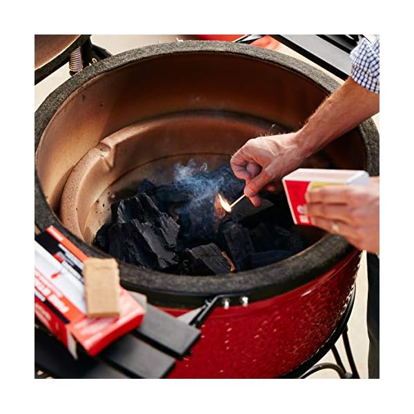 Premier Specialty Brands LLC - Fire Starter, 24-Pack – Bild 4