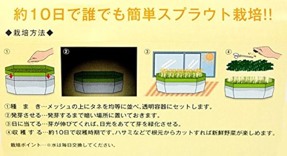 Amazon.co.jp: ブロッコリースプラウト（種）40ml 7袋セット