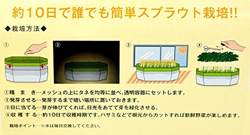 あや様1/31まで取り置き(スプラウト) Amazon | ブロッコリースプラウト（種）40ml 3袋セット | 野菜