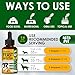 Yeast Infection Treatment for Dogs Helps with Itching & Allergies – Dog Yeast Infection Treatment Liquid Herbal Supplement – for All Breeds – Bacon Taste – 2 Oz