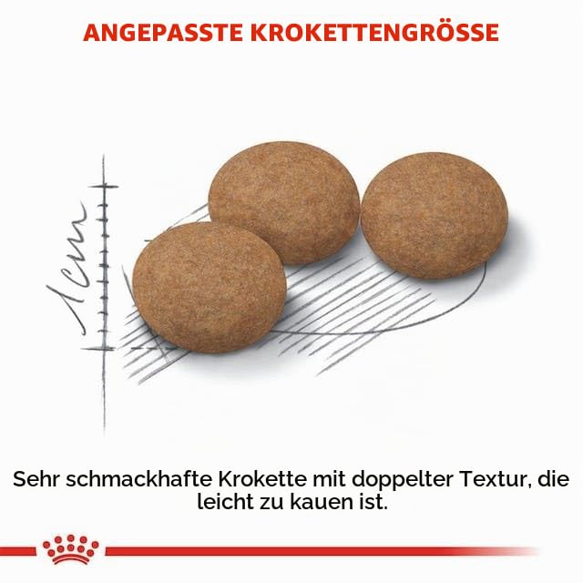 ROYAL CANIN Sterilised Ageing 12+ | Doppelpack | 2 x 400 g | Alleinfuttermittel für Katzen | Speziell für kastrierte Senior Katzen ab dem 12. Lebensjahr | Zum Gewichtserhalt