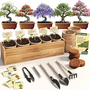 Planter’s Choice Bonsai Tree Starter Kit – Unique Gifts for Women, Men – Christmas Gifts for Adults – Indoor Live House Plants – DIY Crafts for Adults Craft Kits – Hobby Gift for Gardening Lovers
