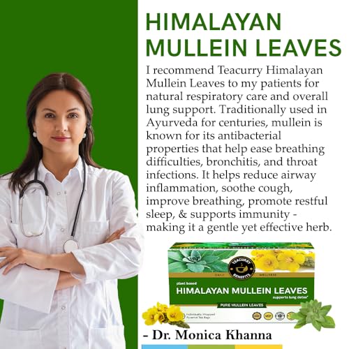 Image of Teacurry Himalayan Mullein Leaf Tea (30 TeaBags) - Organic Herbal Detox Mullein Leaves - Supports Lung Cleanse, Immunity & Relaxation - Caffeine-Free Herbal Tea Bags