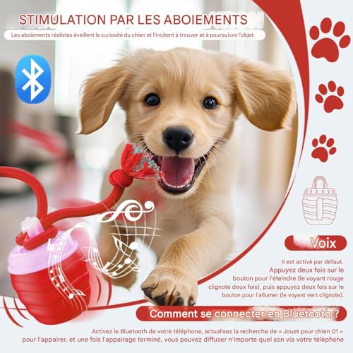 Balle interactive pour chat active le jeu en salon et chambre - 6