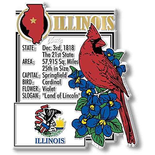 Set de 6 Imanes de Estado Illinois Classic Magnets miniatura 2