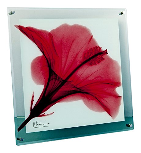 ユーパワー 植物 花 レッド W30×H30×D2cm