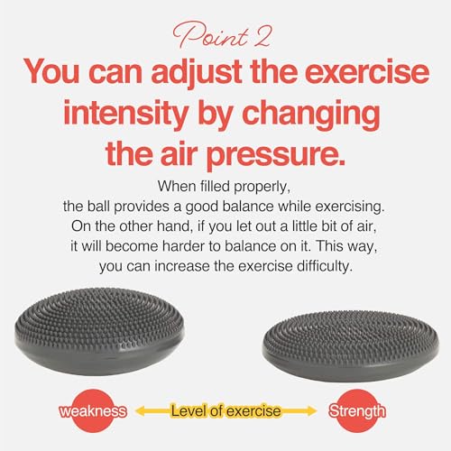 Image of Primasole Balance disc 1 PC Comes with an air Pump Exercise Disk for Stability Workout