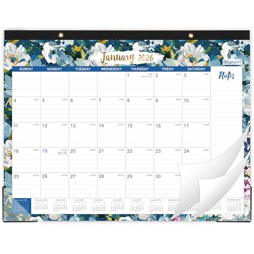Calendario 2025, calendario de escritorio 2025, enero de 2025 a diciembre de 2025, calendario mensual de 12 meses con papel grueso, encuadernación de doble alambre + 2 ganchos para colgar + bloques
