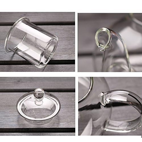 Image of ANKUL 800ml Glass Teapot with Infuser, Borosilicate Glass Tea Kettle for Loose Leaf Tea, Transparent Teapot with Glass Removable Infuser,Microwavable and Stovetop Safe (Ankul - 13)
