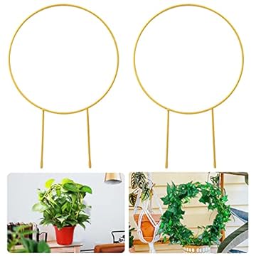 Circle Trellis for Indoor Plants: Which One Will Transform Your Space? 2 circle trellis for indoor plants