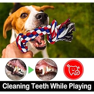 Dog Rope Toys for Large and Medium Aggressive Chewers 9 Pack Indestructible Dog Rope Toys Puppy Teeth Cleaning Toys Tug of War Dog Toy Heavy Duty Dental Cotton Rope Dog Toys Cucciolini Doodles Dog rope toys for large and medium aggressive chewers 9 pack indestructible dog rope toys puppy teeth cleaning toys tug of war dog toy heavy duty dental cotton rope dog toys cucciolini doodles