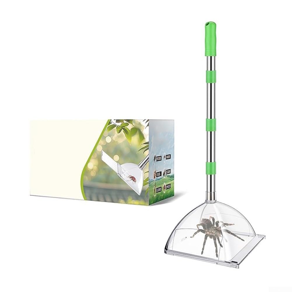 Cattura insetti con manico lungo regolabile per catturare insetti senza contatto con scatola trasparente per la rimozione sicura di ragni, lucertole e piccoli parassiti