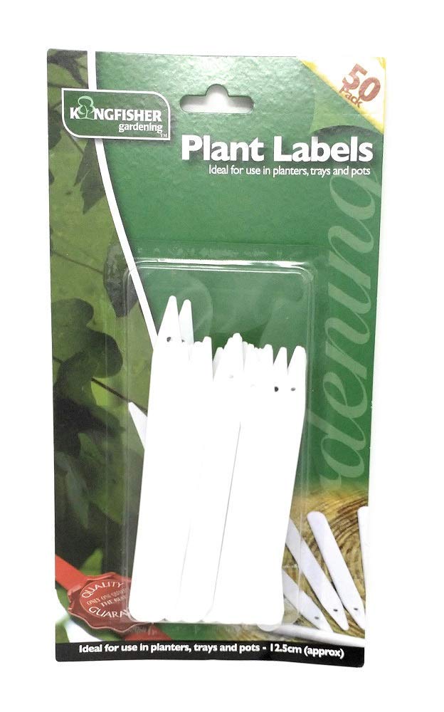 Matita Piantabile Sprout, Istruzioni E Confezione Per Regalo Ecologico - Foto 3