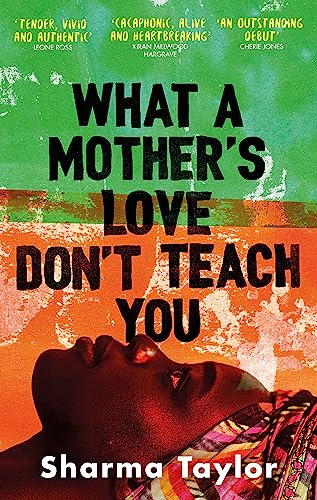 What A Mother's Love Don't Teach You: 'An outstanding debut' Cherie Jones