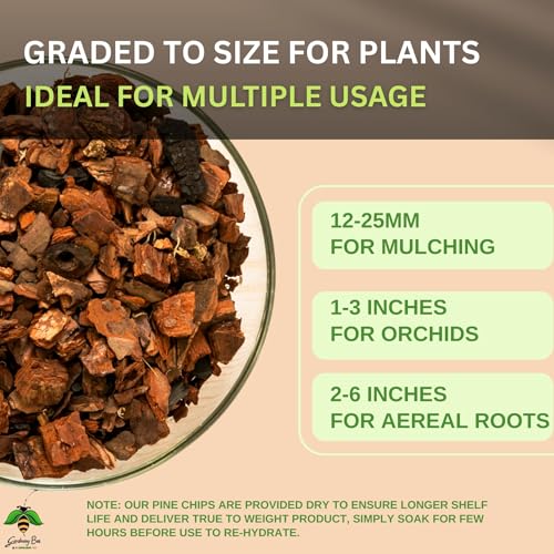 Image of Pine Bark Chips (900 G), 1-3inches Size, Ideal for Arial Orchid, Fully Dry, 100% Organic and Natural, for Mature Orchids, Graded to Size, Pine Tree Bark Chip (900 gram)