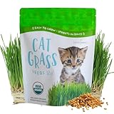 Organic Cat Grass Seeds – Non-GMO Hard Red Wheatgrass...