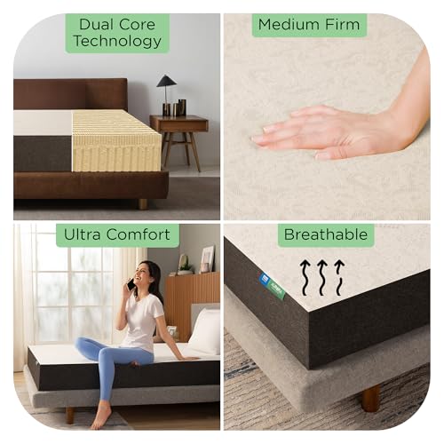 Image of MM FOAM Aurora 100% Organic Latex Mattress & Life Companion Pillow | Natural Sleep Solution | Single 75 x 36 x 8