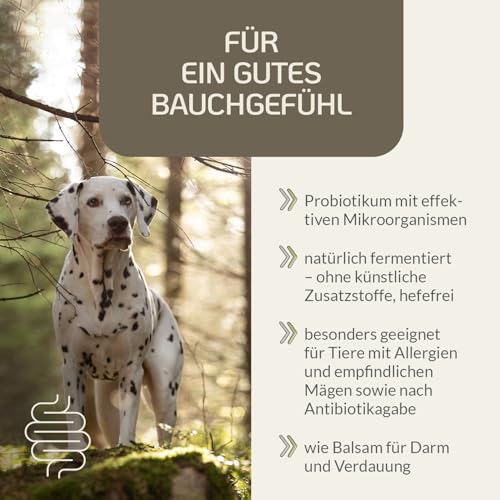 Provicell EM Vital Hund 250 ml – Premium Probiotika für Hunde flüssig - Unterstützung der Darmflora für Hunde – Fermentierte Pflanzenstoffe mit Mikroorganismen – Ohne Zusatzstoffe - Made in Germany
