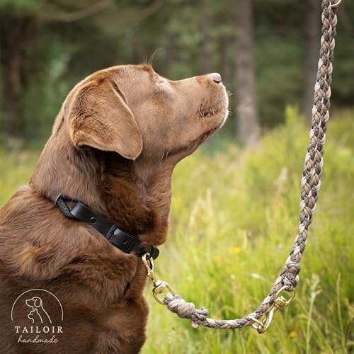 Tailoir Hundeleine 2m geflochten - Leine Hund, Mittelgroße - Große Hunde, Leine verstellbar, Hundeleinen, Dog Leash Führleine, Bissfeste Hundeleine zum Umhängen, Trainingsleine, Freihandleine Paracord