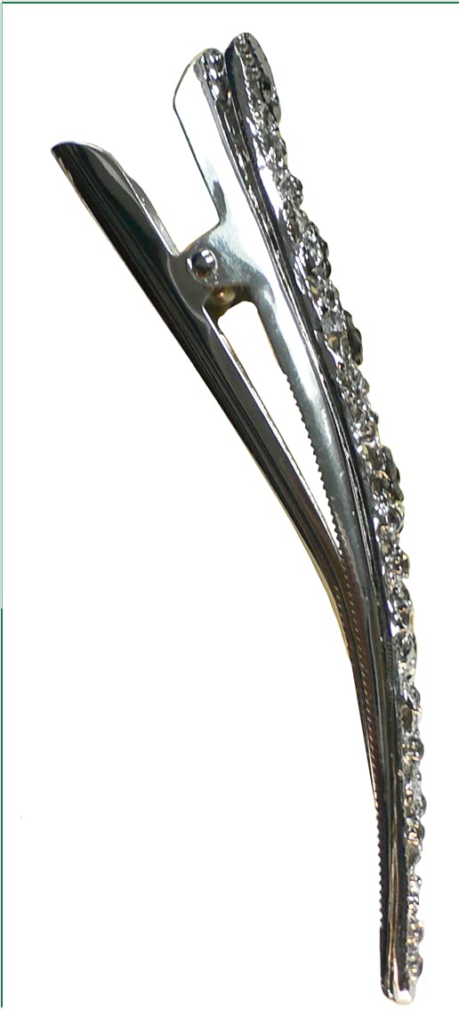 Alligator Strong Metal Hair Clip Long Duckbill Clip Beakclip for Hair Upstyling for Women Girls NM110-2nJ